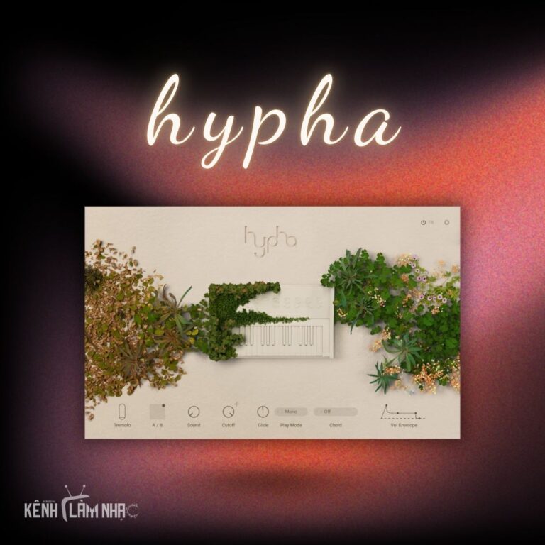 hypha hypha