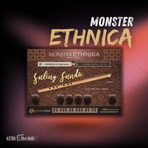 MONSTER ETHNICA – 10 Bộ Nhạc Cụ Truyền Thống Đầy Cảm Hứng