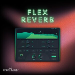 FLEX REVERB – EQ Tích Hợp, Âm Trường Linh Hoạt