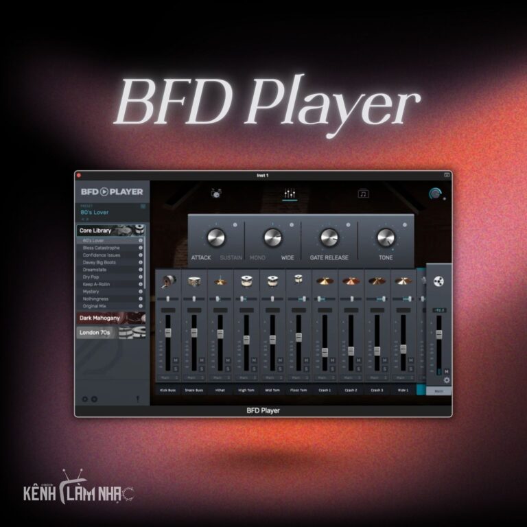 bfd-player