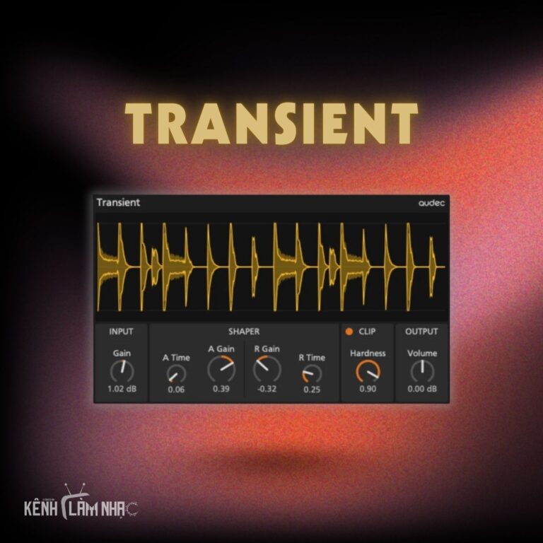 transient transient