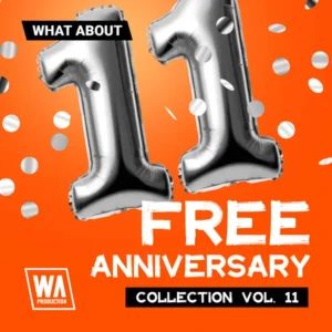 ANNIVERSARY COLLECTION VOL.11