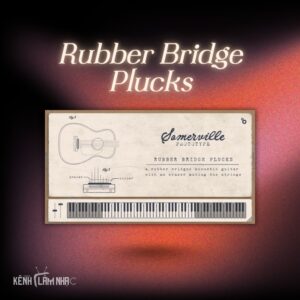 RUBBER BRIDGE PLUCKS – Texture Guitar Khác Biệt