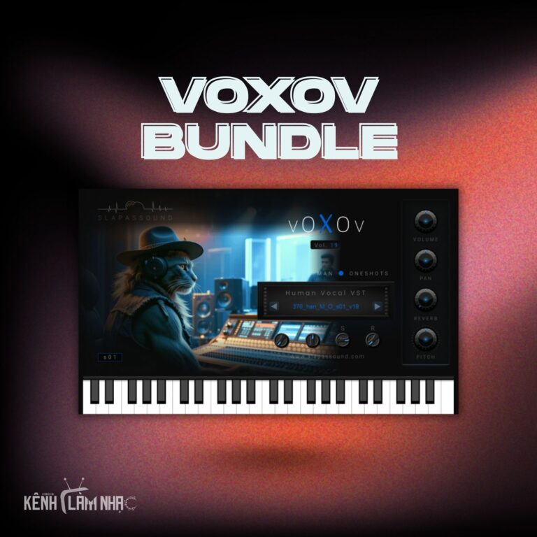 VOXOV BUNDLE1