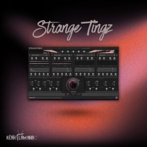STRANGE TINGZ - Âm Thanh 80s Đậm Chất Analog