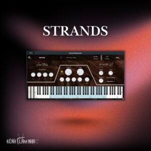 STRANDS – Thư Viện Cello Cinematic Ấm Áp