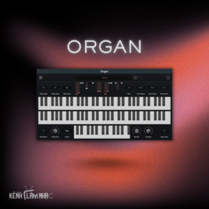 ORGAN – Âm Sắc Tonewheel Organ Tích Hợp Vibrato Và Chorus